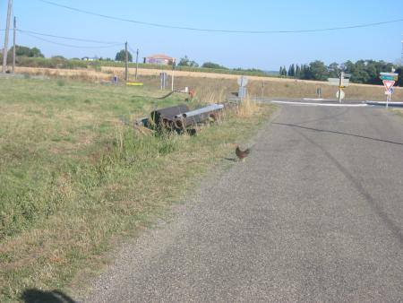 poulette !!!